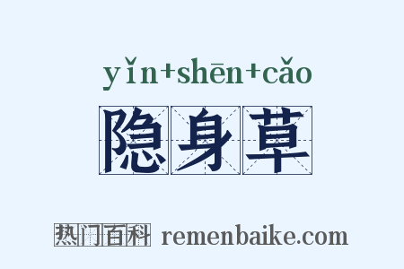 隐身草是什么意思的图片